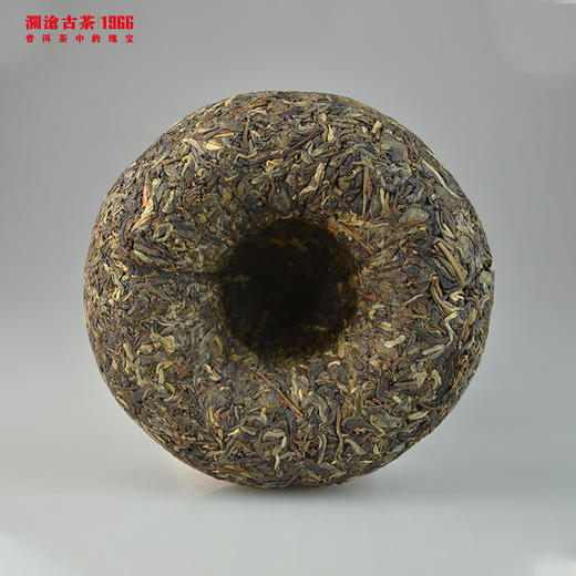 【老茶推荐】澜沧古茶2012年五福金瓜（曼弄）普洱茶生茶金瓜500g 商品图3