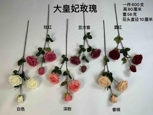 大皇妃玫瑰（运费自理） 商品图0