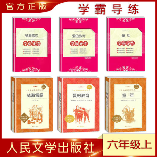 学霸导练版课外阅读书籍初高中生世界名著书籍经典文学小说畅销书语文书目 商品图2