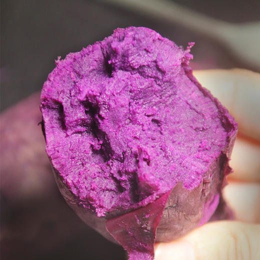 农家种植紫薯 红薯  紫皮紫瓤  皮薄肉厚  几乎无薯丝  香甜软糯  3斤/5斤 商品图1