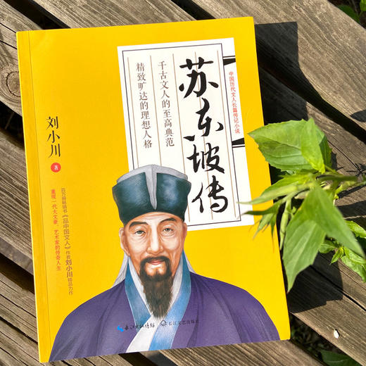 (仓发) 苏东坡传/长江文艺出版社/刘小川/9787570214143 商品图5