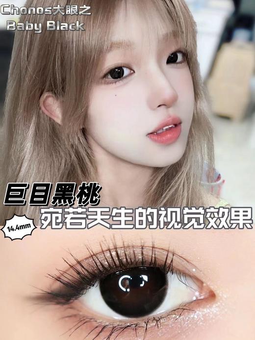 Chonos 日抛10片装 商品图4