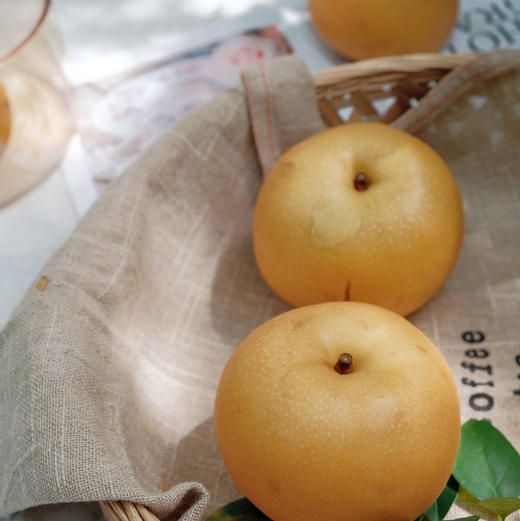 秋月梨5斤1箱（现货陆续发） 商品图7