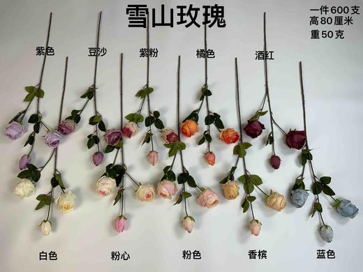 雪山玫瑰（运费自理） 商品图0