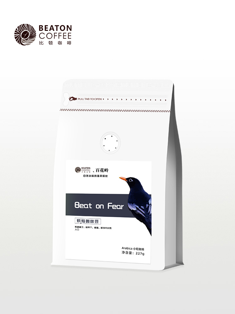 配方设计系列  beat on fear