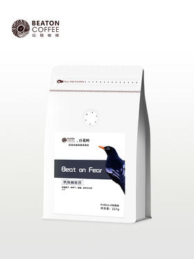配方设计系列  beat on fear