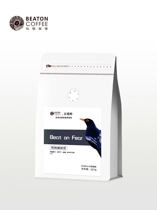 配方设计系列  beat on fear 商品图0