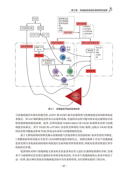 玫瑰痤疮 李吉 谢红付 皮肤病学玫瑰痤疮发病机制临床表现诊断标准及鉴别诊断治疗与护理 人卫版实用皮肤病医学书籍人民卫生出版社 商品图4