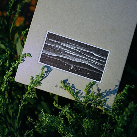 《梭罗文集：瓦尔登湖+四季之歌+夜色和月光》（全3册）亨利·戴维·梭罗 著，仲泽 译 木刻插图本 译林出版社 商品图4