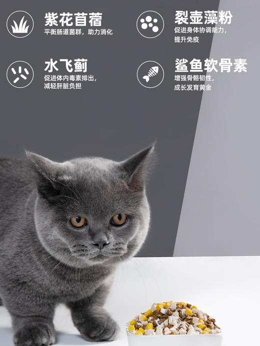 FurFurLand毛星球全价无谷鸡肉益生菌赖氨酸发腮冻干成猫粮1.5kg（非质量问题，不支持7天无理由退货） 商品图3