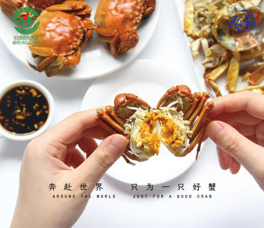 蟹卡 | 阳澄湖大闸蟹| 公4两4只/母2.8两4只|礼券 商品图6