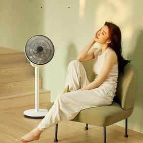 F2循环扇使用视频