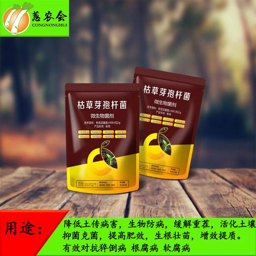 【枯草】枯草芽孢杆菌400亿/克 商品图1