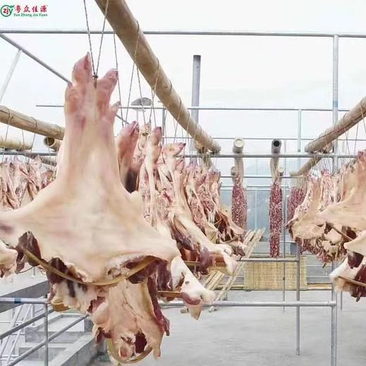 连州特产粤众佳源 东陂腊猪脚袋装650g   传统风味自然风干 商品图5