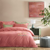 【远梦】远梦纯棉四季绒套件_杏运满园（仅限到店自提） 商品缩略图4