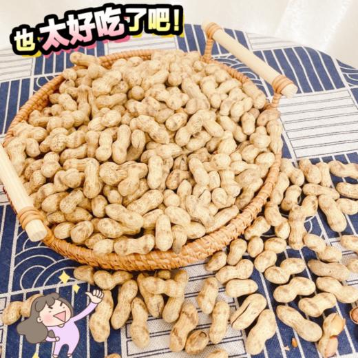 【古法手工 大铁锅现炒】宁化仁玲牌古法手工湿籽花生3袋 商品图0