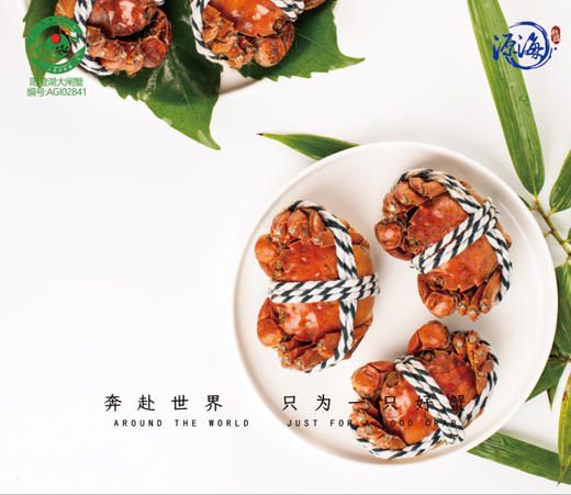 蟹卡 | 阳澄湖大闸蟹| 公4两4只/母2.8两4只|礼券 商品图4