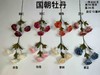 国朝牡丹（运费自理） 商品缩略图0