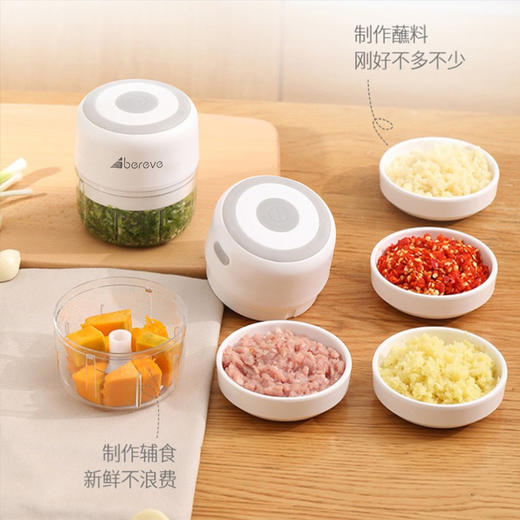 艾贝丽USB蒜蓉机 家用蒜器绞肉机料理机 SR01 商品图2