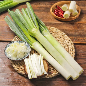 【生鲜预定】大直葱1kg