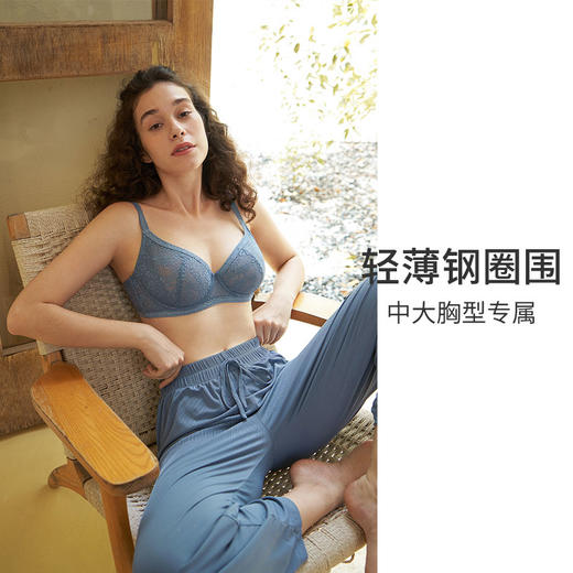 HSIA遐内衣女全罩杯轻薄秋冬新品蕾丝胸罩Daily Lace大胸显小文胸 商品图1