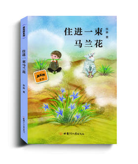住进一束马兰花——“麻花辫”系列