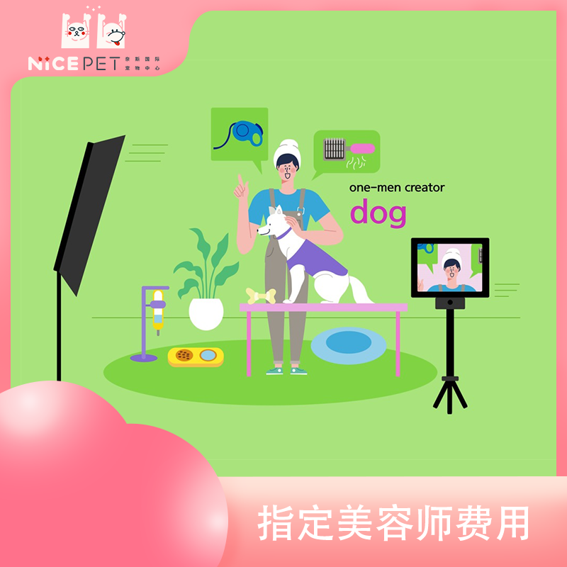 Nice Pet指定美容师费用