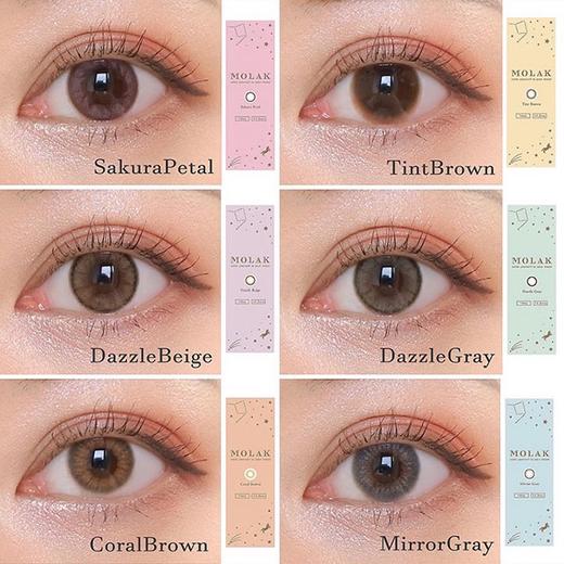 【6盒199】【转仓清仓随心配】MOLAK 1day 10枚 MYUMYU日本直送 商品图1