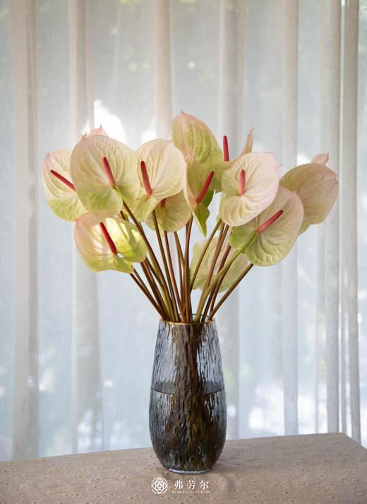 安祖花（3支） 可单色可混色 商品图1