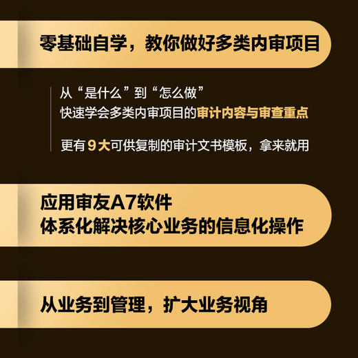 内部审计工作指南：穿透实务核心，进阶数智应用，精益审计管理 郭长水纪新伟内审财务会计财务管理 商品图3