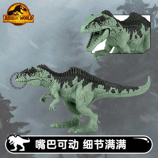 美泰 迷你恐龙盲包盒系列单个装MATCGWP38 商品图4