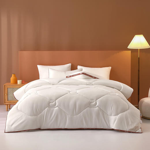 水星家纺 热力暖·吸湿发热澳洲羊毛四季被 商品图5