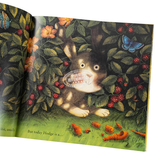 【中商原版】Briony May Smith 捉到一只小兔兔 Grab that Rabbit 英文原版进口童书 儿童绘本 大自然动物故事图画书 4-7岁 商品图3