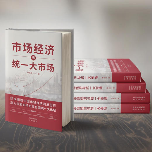 市场经济与统一大市场 林永生 著 管理 商品图1