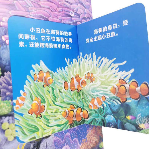 儿童趣味揭秘翻翻书 海洋世界 3-6岁 央美阳光 编 科普百科 商品图3
