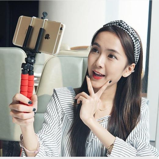 八爪鱼懒人支架便携户外摄影抖音直播拍照看电视神器架 商品图1