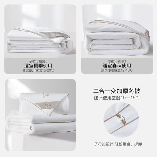 【新品主推】水星家纺金玉芳菲桑蚕丝二合一被床上用品 商品图4