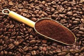 云南保山施甸天栗小粒咖啡多种规格