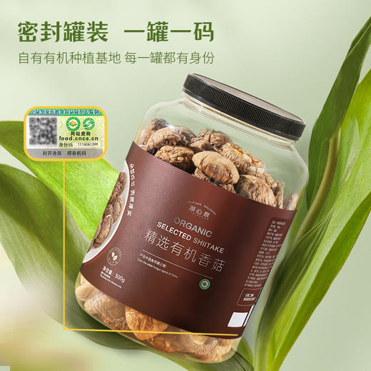 湖心泉精选有机香菇 袖珍小香菇300g罐装 商品图2