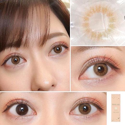 【6盒199】【转仓清仓随心配】MOLAK 1day 10枚 MYUMYU日本直送 商品图9