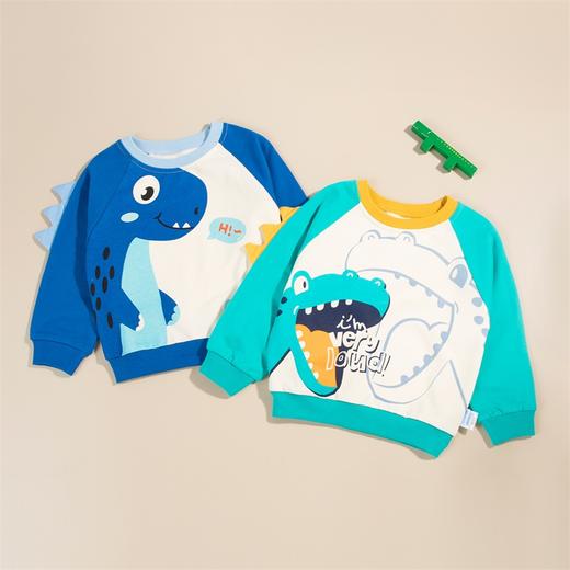 贝贝怡童装儿童卫衣秋季男童衣服休闲上衣洋气秋装223S3100 商品图9