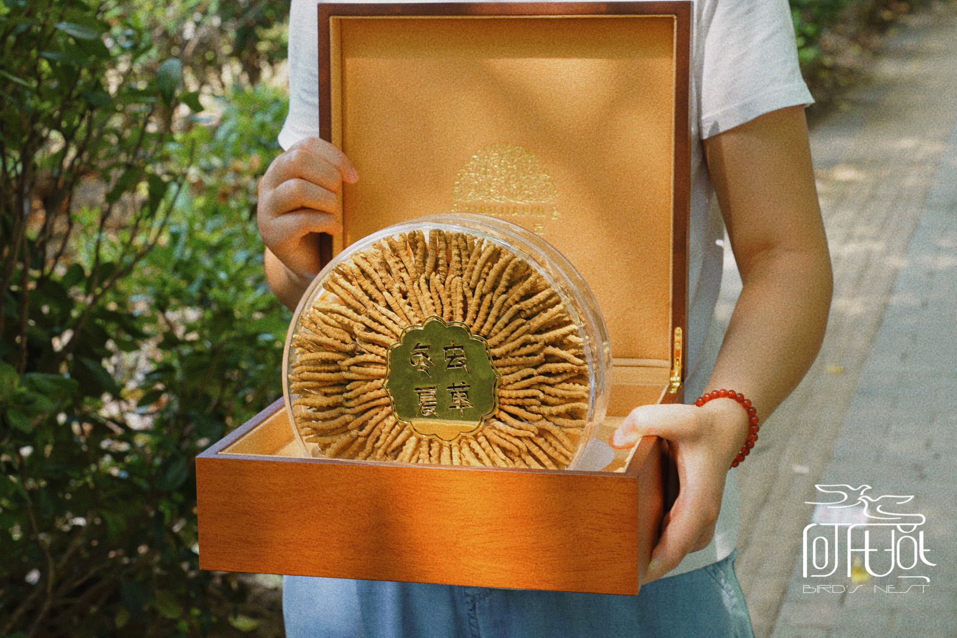 干虫草礼盒 定制