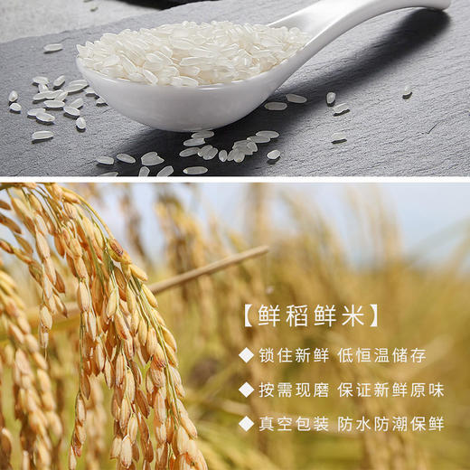 沃之稻贡享响水火山石板田稻花香(2.5kg纸盒)-宅配卡（每月两袋，连续配送4个月）【LXCT9.0】 商品图4