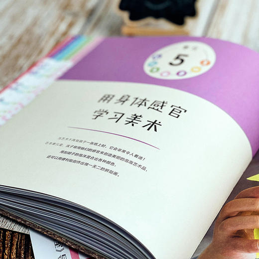 给孩子的感官游戏实验室 52个好玩有趣的感官游戏 幼儿活动 商品图11