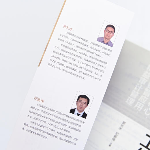 内部审计工作指南：穿透实务核心，进阶数智应用，精益审计管理 郭长水纪新伟内审财务会计财务管理 商品图4
