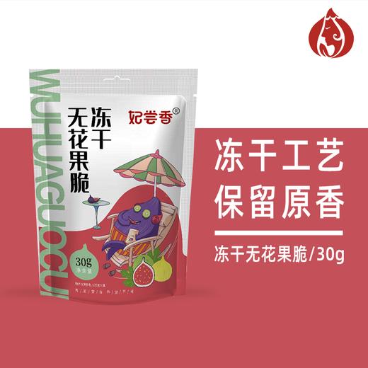 妃尝香冻干果脆30g*2袋（哈密瓜、无花果） 商品图1
