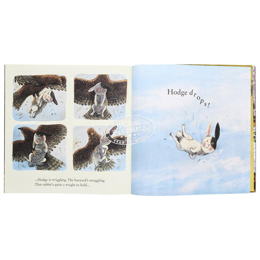 【中商原版】Briony May Smith 捉到一只小兔兔 Grab that Rabbit 英文原版进口童书 儿童绘本 大自然动物故事图画书 4-7岁 商品图6