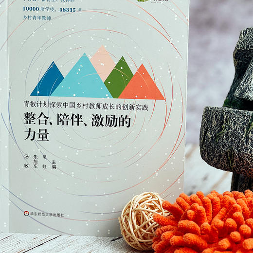 整合、陪伴、激励的力量 青椒计划探索中国乡村教师成长的创新实践 教育公平 商品图3