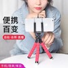 八爪鱼懒人支架便携户外摄影抖音直播拍照看电视神器架 商品缩略图4
