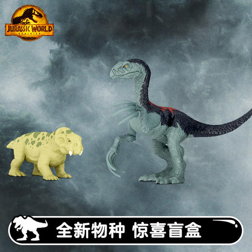 美泰 迷你恐龙盲包盒系列单个装MATCGWP38 商品图3